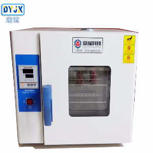 鼎耀DYY-40A油漆烤箱小型电机烘干箱 恒温工业烤箱烘箱