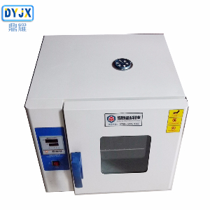 鼎耀DYY-136A实验室恒温干燥箱工业恒温鼓风干燥箱