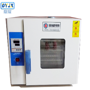 DYY-136A高温工业烤箱 290℃恒温烤箱 数显恒温干燥箱 LED灯珠电热烘箱